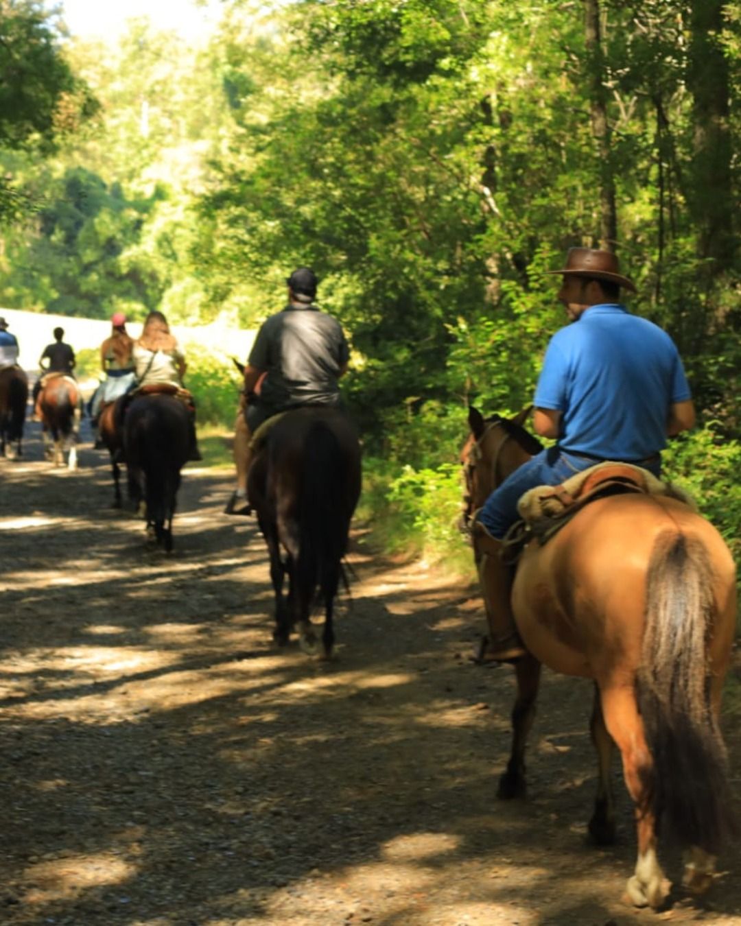 Cabalgata por senderos de montaña patagónica